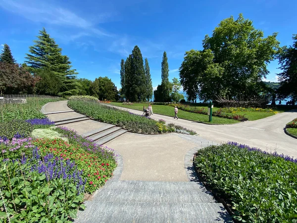 Paisaje Isla Las Flores Mainau Lago Constanza Landschaft Der Blumeninsel — Foto de Stock