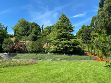 Constance Gölü veya Landschaft der Blumeninsel im Bodensee - Constance, Almanya / Konstanz, Deutschland