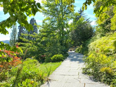 Constance Gölü veya Landschaft der Blumeninsel im Bodensee - Constance, Almanya / Konstanz, Deutschland