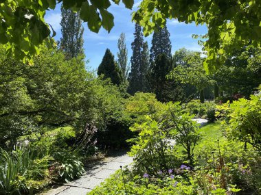 Constance Gölü veya Landschaft der Blumeninsel im Bodensee - Constance, Almanya / Konstanz, Deutschland