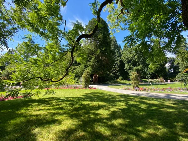 Paisaje Isla Las Flores Mainau Lago Constanza Landschaft Der Blumeninsel — Foto de Stock