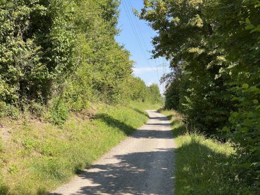 Glatt Nehri boyunca dinlenme yolları ve küçük göl ve göletleri geçince - Zuerich veya Zürih, İsviçre (Schweiz)