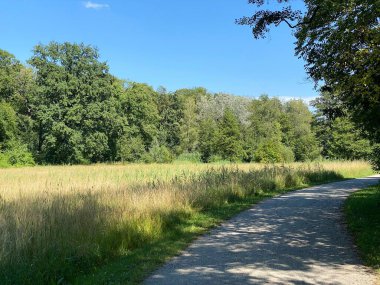 Glatt Nehri boyunca dinlenme yolları ve küçük göl ve göletleri geçince - Zuerich veya Zürih, İsviçre (Schweiz)