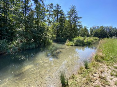 Glatt Nehri boyunca uzanan küçük göller veya göletler boyunca ağaçlarla kaplı bir yaz manzarası - Zuerich veya Zürih, İsviçre (Schweiz)
