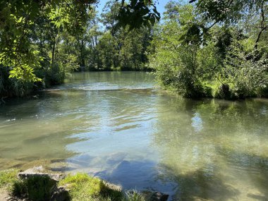 Glatt Nehri boyunca uzanan küçük göller veya göletler boyunca ağaçlarla kaplı bir yaz manzarası - Zuerich veya Zürih, İsviçre (Schweiz)