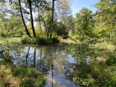 Glatt Nehri boyunca uzanan küçük göller veya göletler boyunca ağaçlarla kaplı bir yaz manzarası - Zuerich veya Zürih, İsviçre (Schweiz)