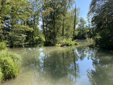 Glatt Nehri boyunca uzanan küçük göller veya göletler boyunca ağaçlarla kaplı bir yaz manzarası - Zuerich veya Zürih, İsviçre (Schweiz)