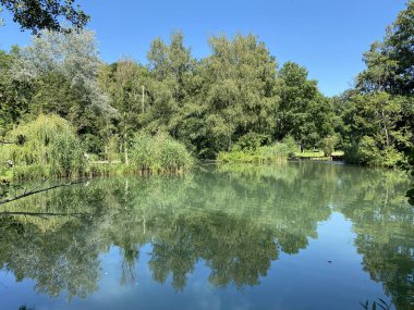 Glatt Nehri boyunca uzanan küçük göller veya göletler boyunca ağaçlarla kaplı bir yaz manzarası - Zuerich veya Zürih, İsviçre (Schweiz)