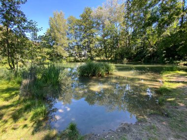 Glatt Nehri boyunca uzanan küçük göller veya göletler boyunca ağaçlarla kaplı bir yaz manzarası - Zuerich veya Zürih, İsviçre (Schweiz)