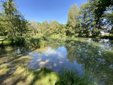 Glatt Nehri boyunca uzanan küçük göller veya göletler boyunca ağaçlarla kaplı bir yaz manzarası - Zuerich veya Zürih, İsviçre (Schweiz)