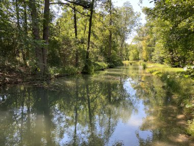 Glatt Nehri boyunca uzanan küçük göller veya göletler boyunca ağaçlarla kaplı bir yaz manzarası - Zuerich veya Zürih, İsviçre (Schweiz)