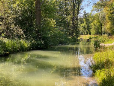 Glatt Nehri boyunca uzanan küçük göller veya göletler boyunca ağaçlarla kaplı bir yaz manzarası - Zuerich veya Zürih, İsviçre (Schweiz)