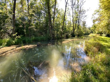 Glatt Nehri boyunca uzanan küçük göller veya göletler boyunca ağaçlarla kaplı bir yaz manzarası - Zuerich veya Zürih, İsviçre (Schweiz)