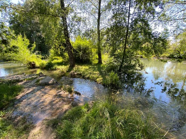 小さな湖やグラット川沿いの池に沿って木と夏の風景 チューリッヒ スイス スイス — ストック写真