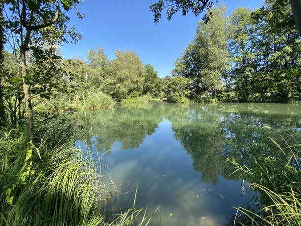 小さな湖やグラット川沿いの池に沿って木と夏の風景 チューリッヒ スイス スイス — ストック写真