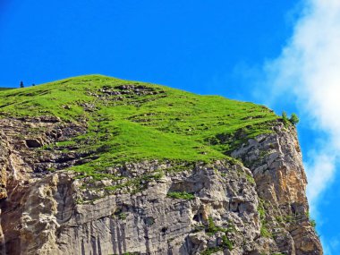 Uri Alp Dağları 'nın yamaçlarında Alp çayırları ve çayırları, Melchtal - Obwald Kantonu, İsviçre (Kanton Obwalden, Schweiz)
