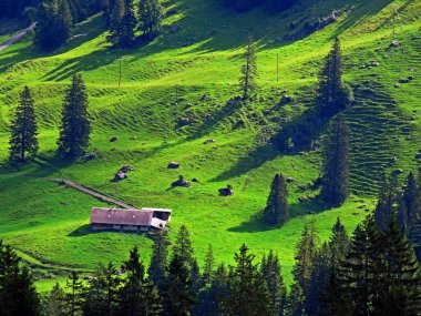 Uri Alp Dağları 'nın yamaçlarında Alp çayırları ve çayırları, Melchtal - Obwald Kantonu, İsviçre (Kanton Obwalden, Schweiz)