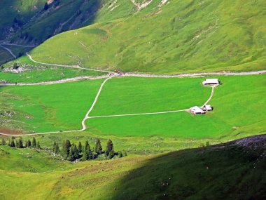 Uri Alp Dağları 'nın yamaçlarında Alp çayırları ve çayırları, Melchtal - Obwald Kantonu, İsviçre (Kanton Obwalden, Schweiz)