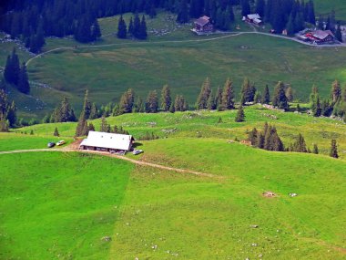Uri Alp Dağları 'nın yamaçlarında Alp çayırları ve çayırları, Melchtal - Obwald Kantonu, İsviçre (Kanton Obwalden, Schweiz)