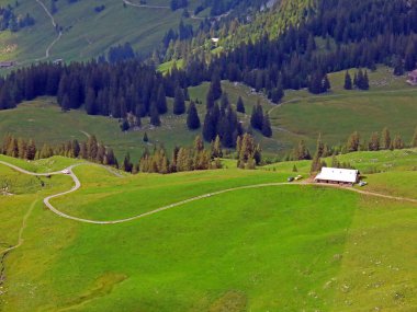 Uri Alp Dağları 'nın yamaçlarında Alp çayırları ve çayırları, Melchtal - Obwald Kantonu, İsviçre (Kanton Obwalden, Schweiz)