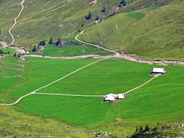 Uri Alp Dağları 'nın yamaçlarında Alp çayırları ve çayırları, Melchtal - Obwald Kantonu, İsviçre (Kanton Obwalden, Schweiz)