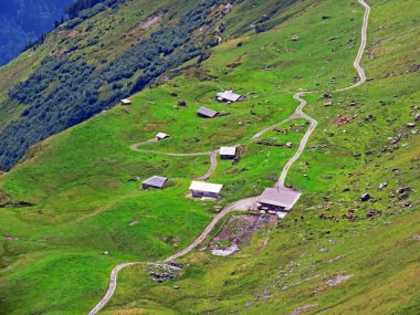 Uri Alp Dağları 'nın yamaçlarında Alp çayırları ve çayırları, Melchtal - Obwald Kantonu, İsviçre (Kanton Obwalden, Schweiz)