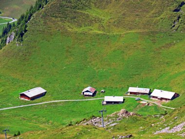 Uri Alp Dağları 'nın yamaçlarında Alp çayırları ve çayırları, Melchtal - Obwald Kantonu, İsviçre (Kanton Obwalden, Schweiz)