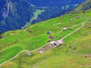 Uri Alp Dağları 'nın yamaçlarında Alp çayırları ve çayırları, Melchtal - Obwald Kantonu, İsviçre (Kanton Obwalden, Schweiz)