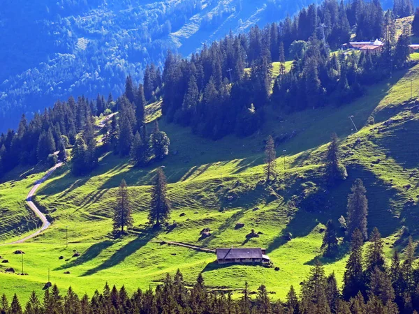Uri Alp Dağları Nın Yamaçlarında Alp Çayırları Çayırları Melchtal Obwald — Stok fotoğraf