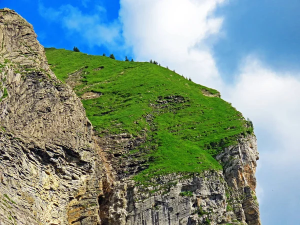 Uri Alp Dağları 'nın yamaçlarında Alp çayırları ve çayırları, Melchtal - Obwald Kantonu, İsviçre (Kanton Obwalden, Schweiz)
