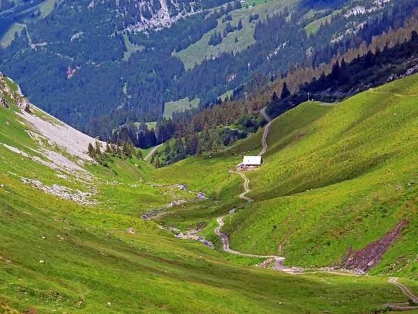 Prados Pastos Alpinos Las Laderas Del Macizo Montañoso Los Alpes —  Fotos de Stock