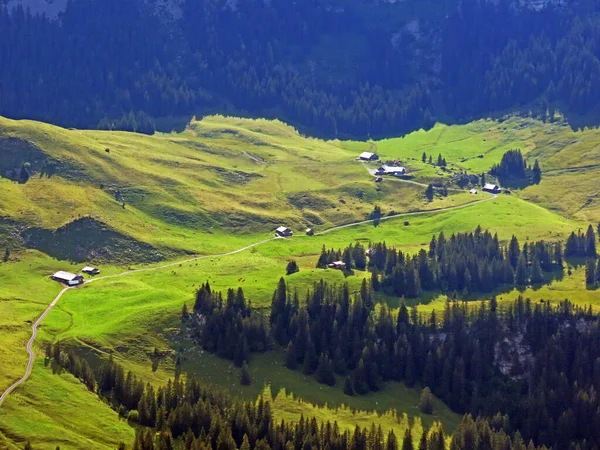 Łąki Pastwiska Alpejskie Zboczach Masywu Górskiego Uri Alpy Melchtal Kanton — Zdjęcie stockowe