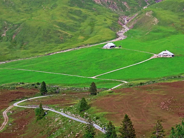 Alpské Louky Pastviny Svazích Pohoří Uri Alpy Melchtal Kanton Obwald — Stock fotografie