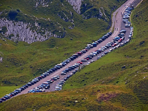 Prati Alpini Pascoli Sulle Pendici Del Massiccio Delle Alpi Uri — Foto Stock