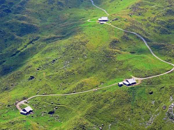 Prairies Alpines Pâturages Sur Les Pentes Massif Des Alpes Uri — Photo