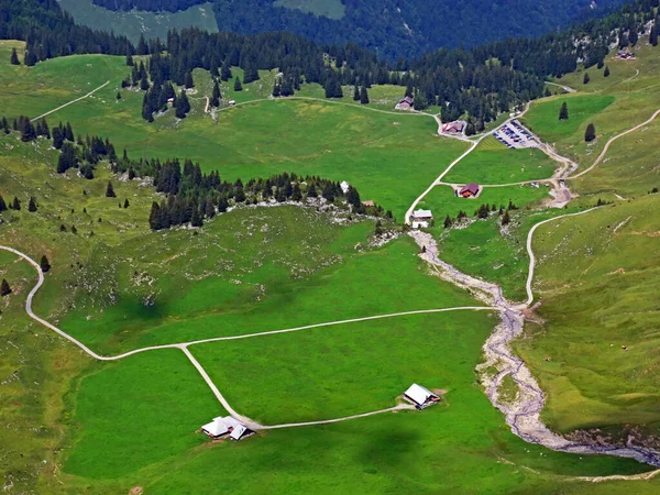 Prados Pastagens Alpinas Nas Encostas Maciço Montanhoso Dos Alpes Uri — Fotografia de Stock