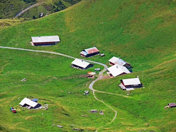 Uri Alp Dağları 'nın yamaçlarında Alp çayırları ve çayırları, Melchtal - Obwald Kantonu, İsviçre (Kanton Obwalden, Schweiz)