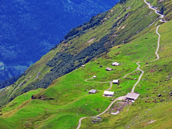 Alpenweiden Almen Hellingen Van Het Bergmassief Uri Alpen Melchtal Kanton — Stockfoto