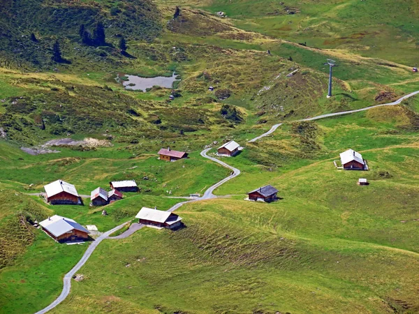 アルプス山脈の斜面にあるアルプスの牧草地と牧草地の塊 メルカル スイスのオブヴァルト州 カントン オブヴァルト スイス — ストック写真