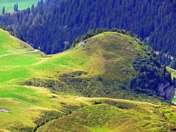 Prados Pastagens Alpinas Nas Encostas Maciço Montanhoso Dos Alpes Uri — Fotografia de Stock