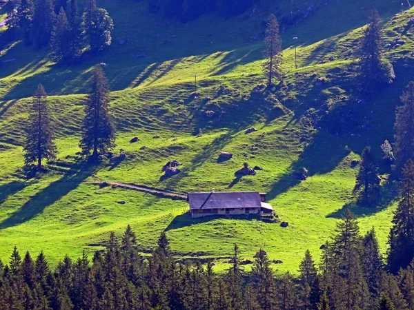 Arquitetura Rural Tradicional Fazendas Pecuárias Familiares Maciço Montanhoso Dos Alpes — Fotografia de Stock