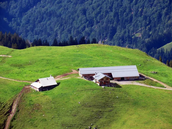 Arquitectura Rural Tradicional Explotaciones Ganaderas Familiares Del Macizo Los Alpes — Foto de Stock
