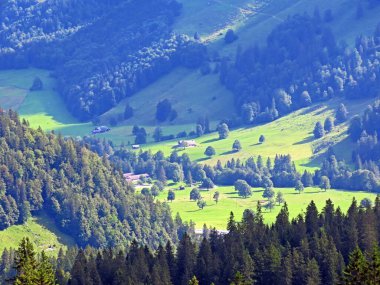 Uri Alp dağlarının yamaçlarında karışık ormanlar ve seyreltilmiş ağaçlar, Melchtal - Obwald Kantonu, İsviçre (Kanton Obwalden, Schweiz)