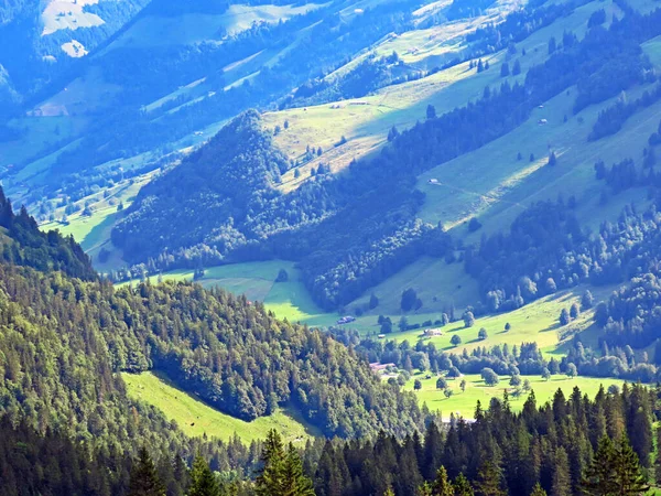 Smíšené Lesy Ztenčené Stromy Svazích Pohoří Uri Alpy Melchtal Kanton — Stock fotografie
