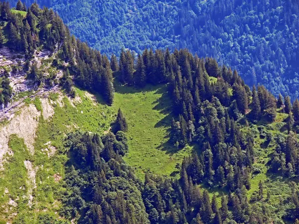 Florestas Mistas Árvores Diluídas Nas Encostas Maciço Montanhoso Dos Alpes — Fotografia de Stock