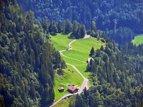 Florestas Mistas Árvores Diluídas Nas Encostas Maciço Montanhoso Dos Alpes — Fotografia de Stock