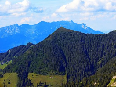 Evergreen Ormanı veya Uri Alp dağlarının yamaçlarındaki kozalaklı ağaçlar, Melchtal - Obwald Kantonu, İsviçre (Kanton Obwalden, Schweiz)