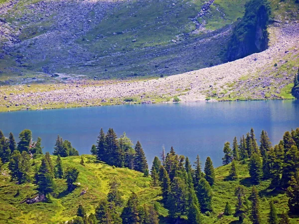 Den Alpina Sjön Engstlensee Vid Övre Gental Valley Och Bergsmassivet — Stockfoto