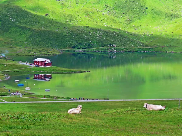 Uri Alp Dağları 'ndaki Melchsee ya da Melch Gölü, Kerns - İsviçre' nin Obwald Kantonu (Kanton Obwalden, Schweiz)