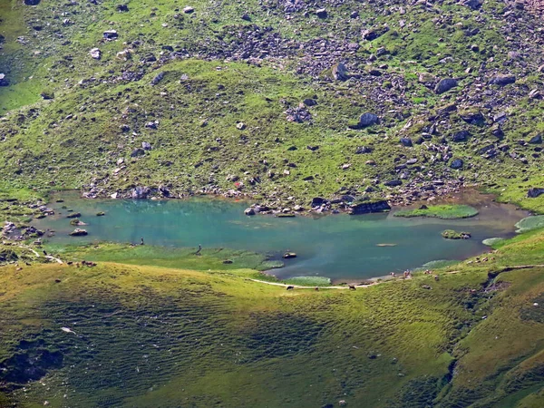 瑞士奥瓦尔德州Melchtal山区Uri Alps地块的高山湖Blausee或蓝湖 Kanton Obwalden Schweiz — 图库照片